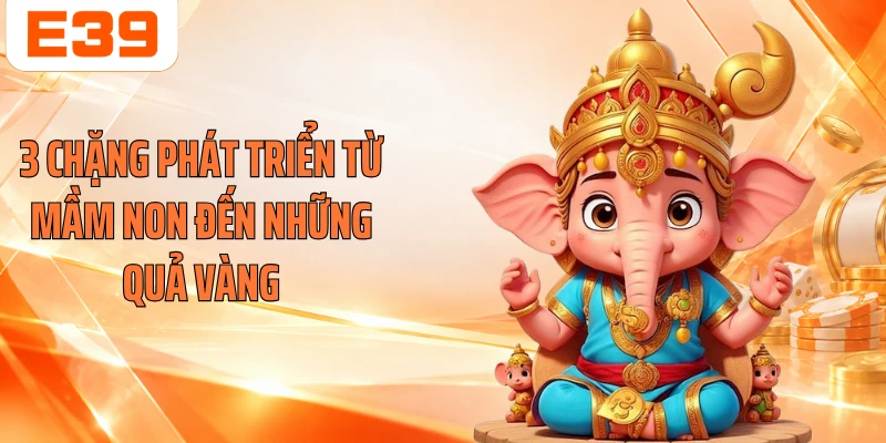 3 chặng phát triển từ mầm non đến những quả vàng