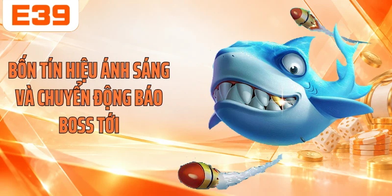 Bốn tín hiệu ánh sáng và chuyển động báo Boss tới
